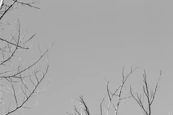 XCasino Kasino Kundeservice